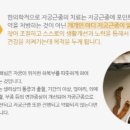 여성미한의원 이미지