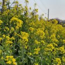 안면도 풀하우스 펜션 이미지