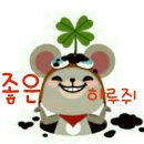 해보자 이미지