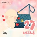 [임신 27주~31주] 입체초음파,강북삼성병원 이교원 교수님