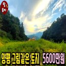 여주-0906 네이버블로그