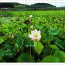 굴전여가캠핑장 이미지