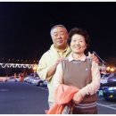 오*관 Daum카페