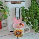 상보농장 이미지