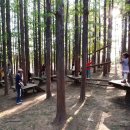 늘솔길공원양떼목장 이미지