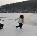 안성비봉산 캠핑장 이미지