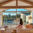 제주달로와 이미지