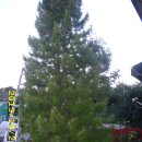 통일로726번길 이미지