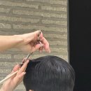 보라헤어센스