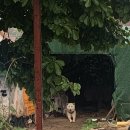 대패생각 통영죽림점 이미지