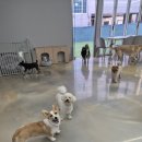 프로네앞마당 이미지