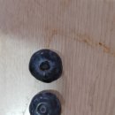 예당지하수개발