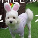 몽이네컷 이미지