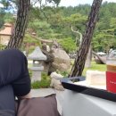 사천동부로 이미지