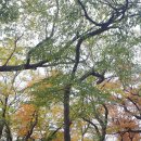 수내2길 이미지