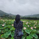 디저트39옥천