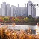 상동호수공원 이미지