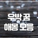 우박꿈해몽 우박맞는꿈 우박떨어지는꿈은 무슨뜻? 이미지