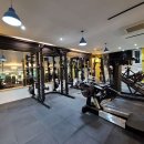 바디슬림헬스 이미지