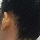 드자벨뷰티