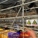 단양군농업기술센터 이미지