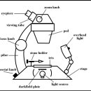 11 : 보석을 감정하는 데 사용되는 장비 11.09 현미경 사용법 이미지