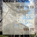 대청 계곡길 | 대청 계곡 벚꽃길 장유도예카페 솔직 후기