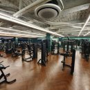 얼라이브 피트니스 이미지