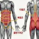 고짐 - 달서구 월곡로 260 | 고짐