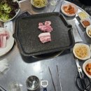 제주돈육짜투리