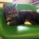 경포현대아파트 이미지