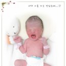김영애 이미지