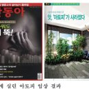 에덴바이오특판점 이미지