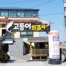 고등어회결사 이미지