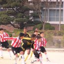 대전중앙초등학교 축구부 이미지