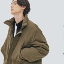 비브레스 이미지