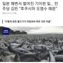 일본 해변서 벌어진 기이한 일… 민주당 김빈 “후쿠시마 오염수 때문” 이미지