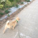 재철농장 네이버블로그