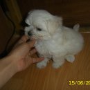 사직3동-4 이미지