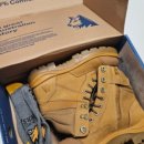 써던크로스 이미지