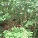 4716 티스토리