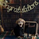 해리의 마법학교 이미지