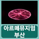 부산광역시 영도구 해양로 | 부산 영도 전시회 추천 미디어아트 놀거리 커플 아르떼뮤지엄 부산 내돈내산 후기