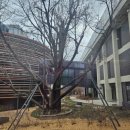 소나무언덕2호 | 감고당길, 아름답고 사랑스런 길