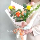 사파동181 이미지