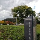 나무와나무 이미지