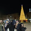 수원남문로데오거리 | 수원 남문로데오거리 맛집 무진장 감자탕 추천 상생페이백 온누리상품권 가능