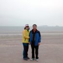 대광해수욕장 이미지