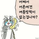9월이네요 이제 가을은 곁들인,,