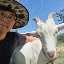 선우엔조신경과의원 이미지